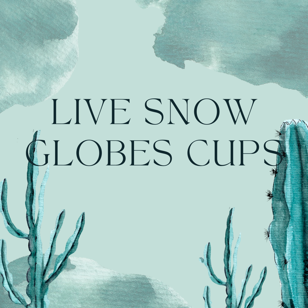 Snow Globes Glass Cups